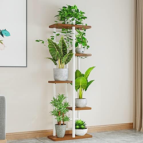 hanging planter plants The Sill Golden Pothos Hanging Basket Houseplants, Medium in Grow Pot main image 0