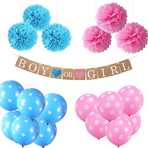 Gender Reveal Party Decorations 17 Pieces Baby Shower Party