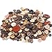 Rustark 650Pcs Resin Buttons Favorite Findings Basic Buttons 2 and 4 Holes Craft Buttons for Arts, DIY Crafts, Decoration, Sewing - Sizes Range from 0.28 to 1.18 Inch (Coconut Shell)