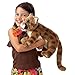 Folkmanis Mountain Lion Cub Hand Puppet