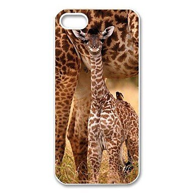 Northern Lights The Meditation Sacred Sage Candle/Planter, 8 oz