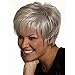 DEYSSNE Women's Short Fluffy Sliver Grey Heat Resistant Synthetic Wig for Mom Grandma