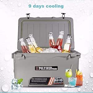 AG Nevera Personal-Nevera para auto-70L - Congelador sin ...