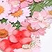 JETEHO 35 PCS Mixed Multiple Pressed Flowers Real Pressed Dried Flowers Natural Dried Flowers DIY Resin Jewelry Art Floral Decors