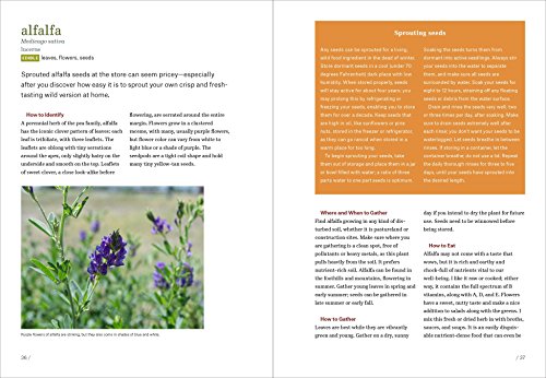 Mountain States Foraging: 115 Wild and Flavorful Edibles from Alpine Sorrel to Wild Hops (Regional Foraging Series) - Thumbnail 3