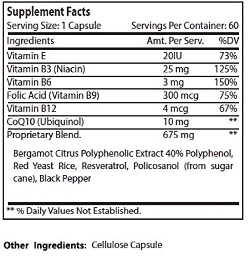 Manage Cholesterol Naturally Supplement - Image 4
