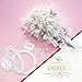 ORROUS & CO Legacy Collection 18K White Gold Plated Cushion Halo Cubic Zirconia Engagement Ring Bridal Jewelry
