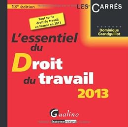 L' essentiel du droit du travail, 2013