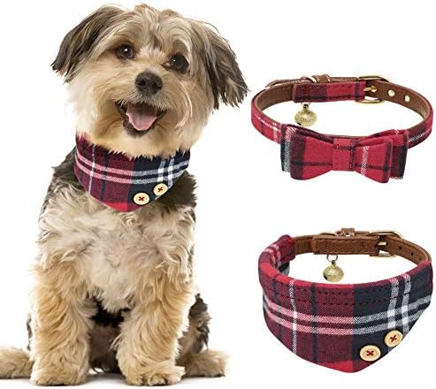 pack of puppy collars