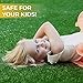 PZG Premium Artificial Grass Patch w/ Drainage Holes & Rubber Backing | 4-Tone Realistic Synthetic Grass Mat | 1.6-inch Blade Height | Lead-Free Fake Grass for Dogs or Outdoor Decor | Size: 5' x 3.3'