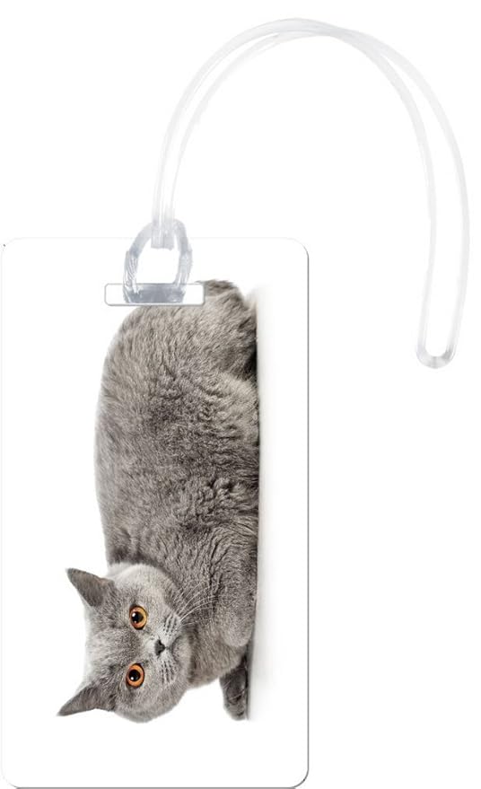 Buy Rikki Knight British Shorthair Cat With Bright Eyes Flexi