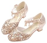 LFHT Little Kids Girls Dress Pumps Glitter Sequins