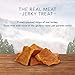 Blue Buffalo Wilderness Grain-Free Turkey Dog Jerky Treats, 3.25 oz