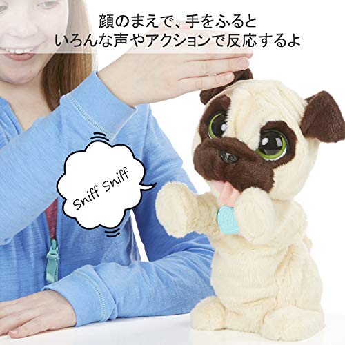 jj mi perrito saltarin