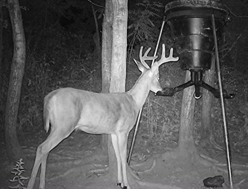 SPYDER Gravity Feeder Attachment - Thumbnail 3