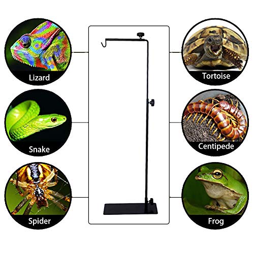 SHZONS Reptile Lamp Stand Adjustable Metal Floor Lamp Bracket for Succulent Lizard Tortoise Turtle