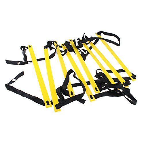 AGPtEK® Durable 4-Meter 8-Rung Photo