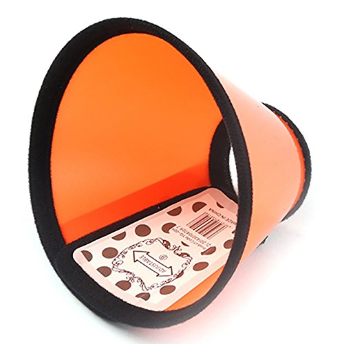 The Best Protective Cones For Dogs of 2019 Top 10, Best Value, Best Affordable
