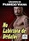 Livro No Labirinto de Dédalos: Um conto de Fabrício Viana