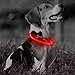Fully adjustable - Amazingly Bright collar - great for dog safety
