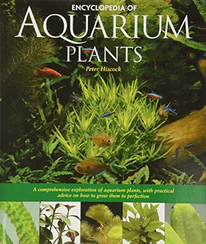 Nature Aquarium World: How You Can Make A Most Beautiful Aquarium
