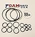 Complete O-Ring Rebuild kit Compatible with Graco Fusion 246355 for air Purge, by Foam Parts USA (1)