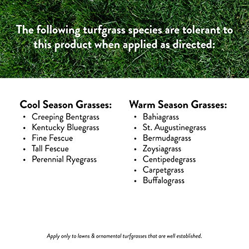 GreenView 2131251 Lawn Food Crabgrass Control, 13.5 lb. Covers 5,000
