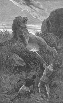 South Africa. African Lion de disparo de Colonia. – 1880 ...