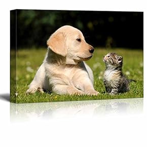 Canvas Wall Art - A Dog and a Cat - Giclee Print Gallery Wrap Modern Home Art Ready to Hang - 12" x 18"