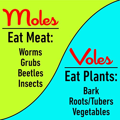 "I Must Garden Mole/Vole Repellent" - Image 2