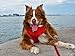 EcoBark Dog Harness - Eco-Friendly Max Comfort Harnesses - Luxurious Soft Mesh Halter - Over The Head Harness Vest- No Pull and No Choke for Puppy, Toy Breeds & Small Dogs (Medium, Red)