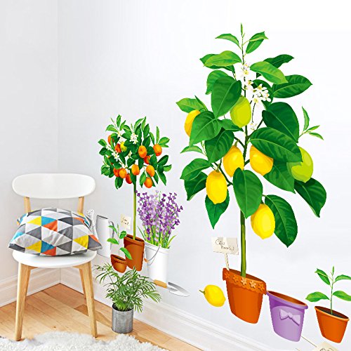 Ameublement Et Decoration Hdxli Bricolage 3d Papier Peint Simulation Fleur Vase Arbres Fruitiers Pot De Fleurs Stickers Muraux Salon Decoration Murale Plante Verte Stickers Muraux Cuisine Maison Lemoncitylive Com