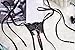 SS Queen Women Sexy Lace Tie Side Thongs Panties Crotchless Adjustable G-string Underwear (set1)
