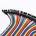 GenBasic 40 Piece Female to Female Jumper Wires (8 Inch)