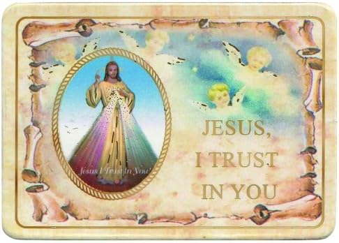 Divine Mercy Magnet