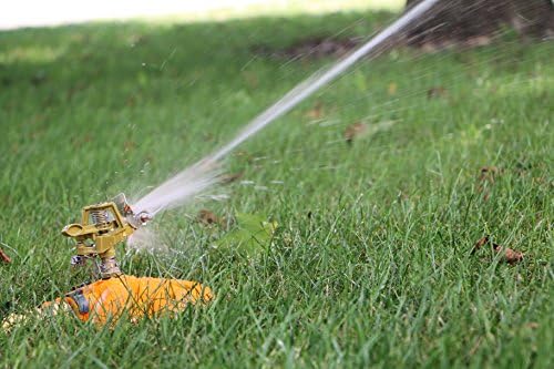 Lawn Sprinklers : Premium Quality Garden Lawn Sprinklers, Best Fun Water Sprinkler System - Gardens &amp; Kids Love Them, by Careful Gardener (brass - butterfly base)