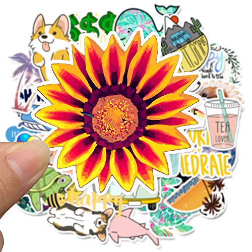 image for Travel Stickers VISO Stickers, Doraking 50PCS Travel Waterproof Sticke