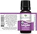 Plant Therapy Organic Lavender Fine 10 mL (1/3 oz) 100% Pure USDA Certified, Undiluted, Therapeutic Grade