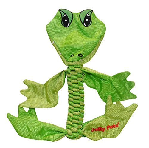 Jolly Pets Alligator Animal Flathead Tug/Squeak Toy, Medium