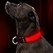 Illumifun LED Dog Collar, USB Rechargeable Light Up Dog Collar, Adjustable Nylon Webbing Glowing Safety Pet Collar Make Your Dogs Safe& Seen in The Dark(Red, Large)thumb 1