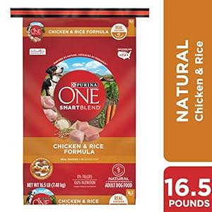Purina ONE SmartBlend Natural Adult Dry Dog Food