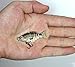 Discover-f New Multi Jointed Jointed Fishing Lures Life-like Hard Lures Bass Bait Swimbait Minnow Crank Shad Herring Bass Pike Muskie(1pcs)