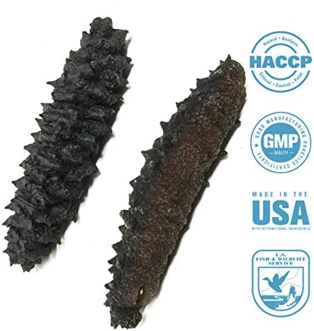SEABENEFIT Barbed Star - Wild Caught Sea Cucumber Dried All Natural Nutritious - 8 oz.