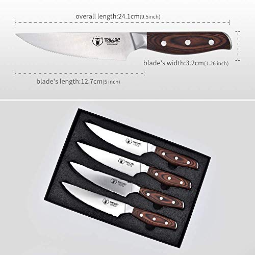 2 Senior+Steak+knife+Stainless+Ergonomics