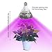 GLIME Grow Light Led Light Bulbs 80W Grow Lights Full Spectrum Plant Light for Greenhouse and Hydroponic Flower Lights E27 Grow Light Bulb for Indoor Plants