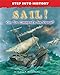 Sail!: Can You Command a Sea Voyage? (Step into History)