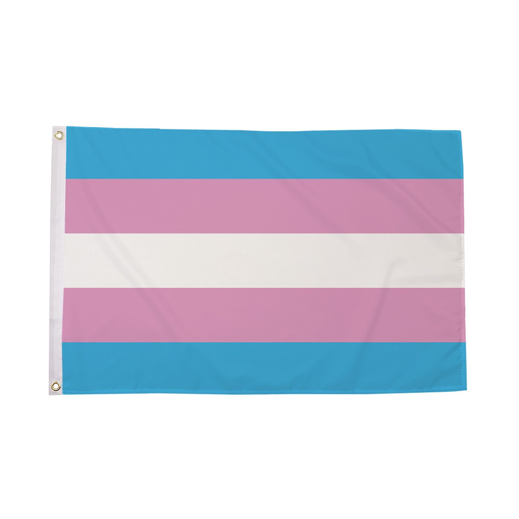 Flagtex Transgender Pride Flag 3ft x 2ft LGBTQ Trans Pride Flag Light Blue Pink White Stripes Premium Polyester Brass Grommets Double Stitched 90cm x 60cm Indoor Outdoor Banner Decoration