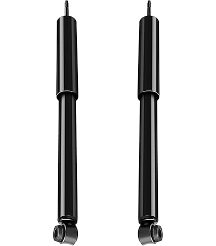 たくぼー KYB 343149 Rear Excel-G Shock Absorber American Motors