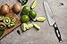 Zelite Infinity 7 Inch Santoku Knife - Razor Sharp Chef Knife with German High Carbon Stainless Steel Blade; Japanese Knife & Chopping Knife with Ergonomic Handle - Comes in Luxurious Gift Box
