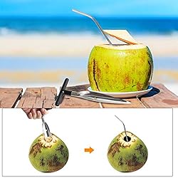YeeBeny Coconut Opener Tool Stainless Steel Coconut